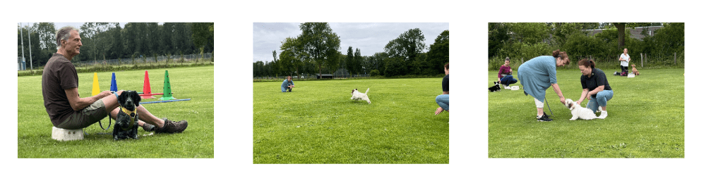 basis-1-voor-cursuspagina-website2025