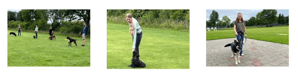 basis-2-cursuspagina-website-2025