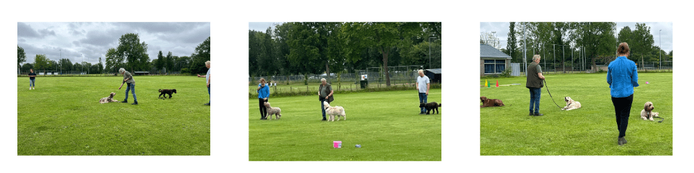 basis-3-afbeelding-voor-website