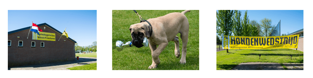 clubmatch-afbeelding-website-2025