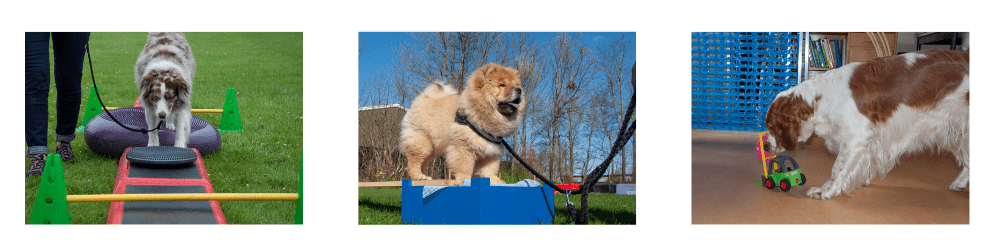 funles-afbeelding-website-2025