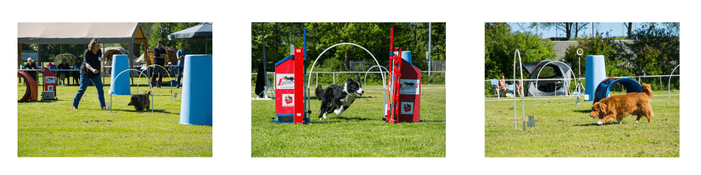 hoopers-afb-voor-website-2025