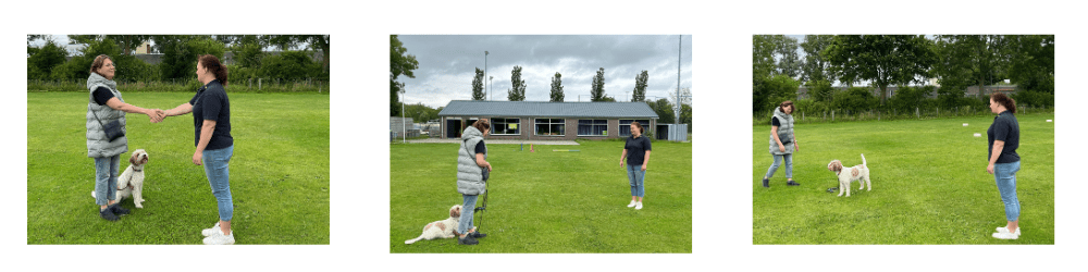 prive-cursus-afbeelding-voor-website-2025