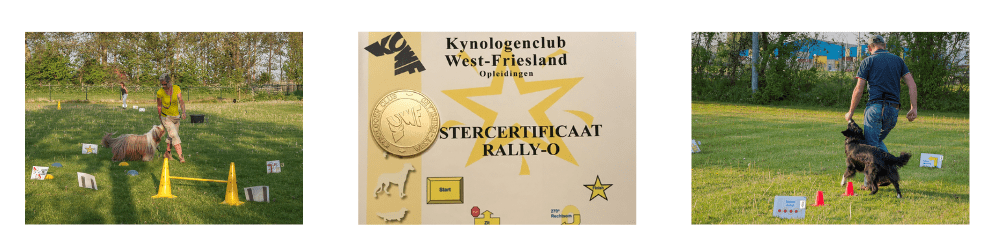 rally-o-voor-website-2025