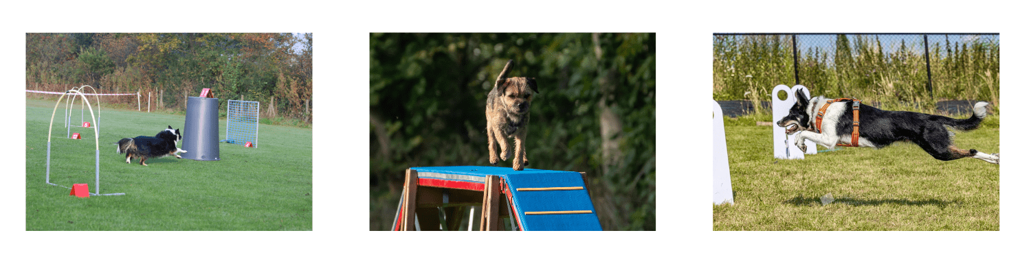 wedstrijden-activiteiten-voor-website-2025